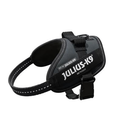 IDC Powerharness Size: XS/Mini-Mini Anthracite Anthracite XS/Mini-Mini