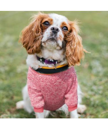 Wisebom 4PCs Winter Dog Sweater Set | Classic Knitting for Small & Medium Dogs | Warm Soft & Easy to Carry - Buy Online on SooperMarket.com