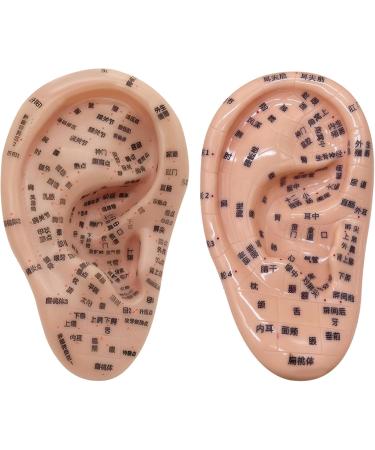 Shitoomfe Ear Seed Acupuncture Kit - Complete Soft Ear Seed Kit with 7.5 Ear Model Tweezers Probe Pen & Ear Acupuncture Guide - Perfect for Self-Care & Wellness - Buy Online on SooperMarket.com
