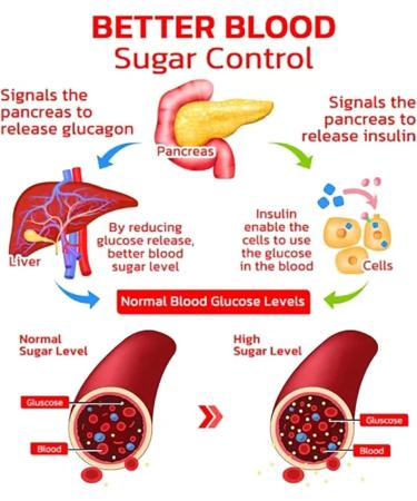 GlucoSync Health Control Aerosolizer Sugar Control Nasal Inhaler Natural and Safe Inhalers for Maintaining Blood Sugar Levels 2pcs - Buy Online on SooperMarket.com