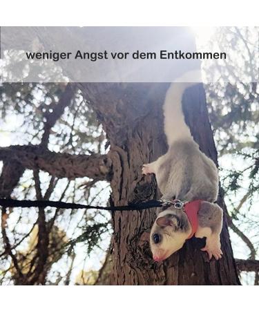 3 Pack Sugar Glider Harness and Lead Set Small Animal Training Walking Vest for Squirrel Hamster Rat (Brown) - Buy Online on SooperMarket.com