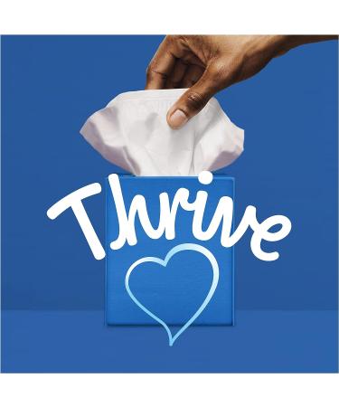 Kleenex Trusted Care Everyday Facial Tissues - 576 Total Tissues, 4 Boxes - White, 144 Count Each - Buy Online on SooperMarket.com