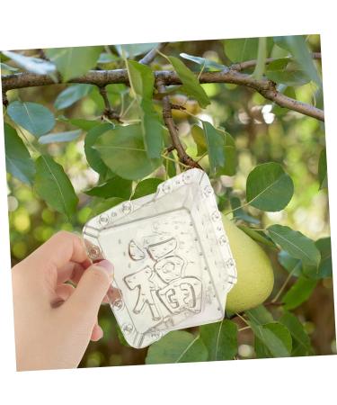 Mipcase 2pcs Square Apple Molds Fruit Vegetable Molds for Gardening Melon Stereotypes Plastic - Buy Online on SooperMarket.com