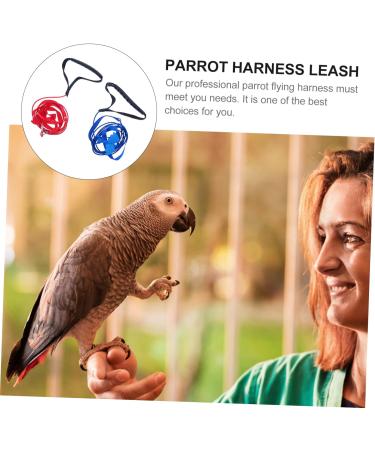 Hohopeti 2pcs Parrot Flying Rope African Grey Leash Pet Harness Flight Leashes Nylon Adjustable Bird Leash Pet Parrot Harness Bird Harness Leash Adjustable Bird Flying Harness S Assorted Color - Buy Online on SooperMarket.com