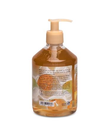 L'Erbolario Hand and Body Cleanser - Citrus Fresh Foam Silicone & Paraben Free - Soft & Clean Skin for All Types - 16.9 oz - Daily Use Body Wash - Buy Online on SooperMarket.com