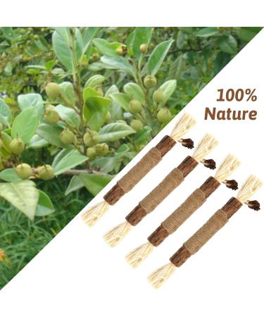 Olyee Silvervine Chew Sticks: Natural Kitten Teething Toys for Cat Dental Care and Stress Relief - Buy Online on SooperMarket.com