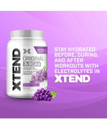 Scivation XTEND Original BCAA Powder - Sugar-Free Muscle Recovery with 7g BCAA 2.5g L-Glutamine - Glacial Grape 90 Servings Glacial Grape 90 Servings (Pack of 1) - Buy Online on SooperMarket.com