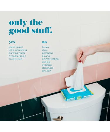 Goodwipes Flushable & Biodegradable Wipes with Botanicals | 180 Count (3 Packs) | Shea-Coco with Aloe | At-Home Use Safe | Septic-Sewer Safe - Buy Online on SooperMarket.com