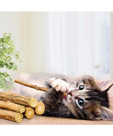 Meowijuana King Size Silvervine Sticks Bundle - Natural Matatabi Chew for Cats | High Potency Cat Treat | Dental Health | Catnip Alternative - Buy Online on SooperMarket.com