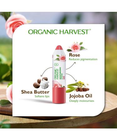 Moisturizing Lip Butter - Rose | Tinted Organic Lip Balm for Women Men & Kids | 100% American Certified Organic | 4g - Buy Online on SooperMarket.com