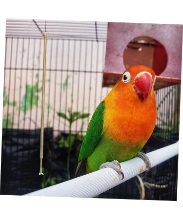 PRETYZOOM Bird Cage Cleaning Tool Bird Poop Cleaning Tools Jewelry Cleaning Kit Birds Brass Hamster 33X3X0.5CM As Shown - Buy Online on SooperMarket.com