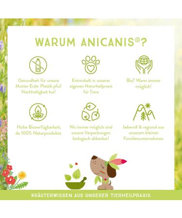 AniCanis Organic Apple Cubes for Dogs - Dried Apples Fruit BARF Food Supplement | 175g Healthy Dog Treats - Buy Online on SooperMarket.com