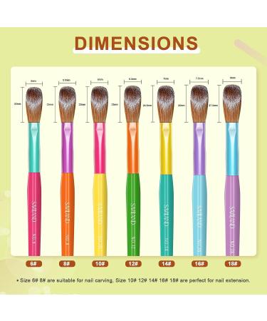 Saviland 7PCS Acrylic Nail Brush Set for Nail Art Powder Extension - Sizes 6/8/10/12/14/16/18 - Buy Online on SooperMarket.com