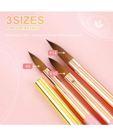 LEDSUUEI Kolinsky Acrylic Nail Brush Set - Size 8/10/14 - High Quality Durable Brushes for Beginner Nail Art - Ideal for Acrylic Powder and Gel Nails - 3D Nail Art Tool - A-COLOR - Buy Online on SooperMarket.com