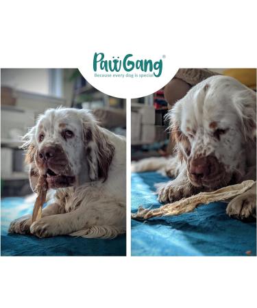 PawGang 100% Natural Rabbit Ears with Fur 500g - Healthy Hypoallergenic Dog Treats - Grain Free and Tasty Chews - EU Sourced - Bulk Bag - Buy Online on SooperMarket.com