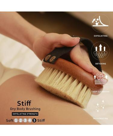 ICANdOIT High Strength Dry Body Brush - Natural Bristle Exfoliating Massage Brush for Cellulite, Lymphatic Drainage, and Soft Skin - Stiff Tampico Fiber for Improved Circulation and Ingrown Hair Prevention - Buy Online on SooperMarket.com