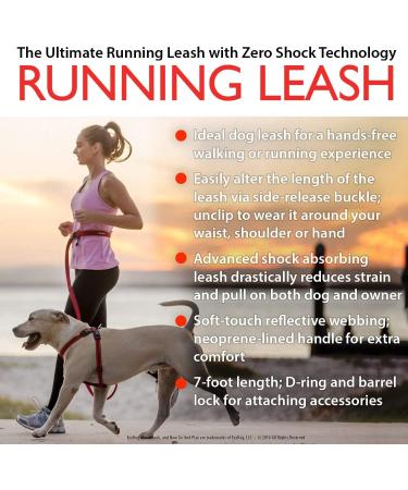 Ezydog Jogging Leash for Small & Medium Dogs - Reflective Elastic Bungee Leash 210cm - Ideal for Runners - Lightweight & Durable (Blue) - Buy Online on SooperMarket.com