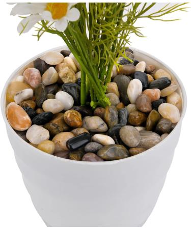 Hisredsun 2.1 lb Natural Polished Pebbles - 0.4-1 inch Decorative Stones for Garden, Aquarium and Vase Fillers - 0.95kg Multi-Use River Rocks - Buy Online on SooperMarket.com