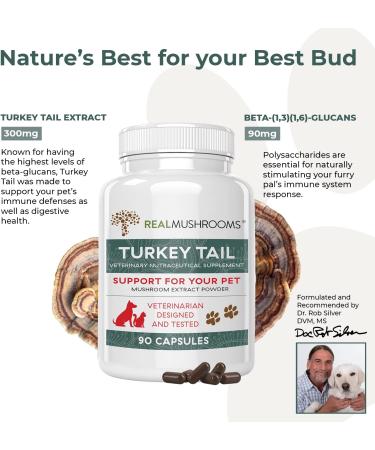 Turkey Tail Pet Support - Vet-Approved Dog Multivitamins for Immune & Gut Health (90ct) - Buy Online on SooperMarket.com