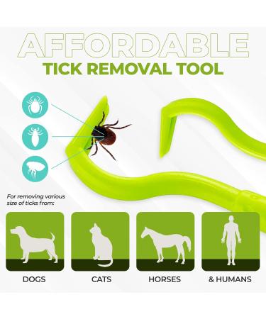 Rubigo 3 Pack Tick Remover Tools For Dogs Cats Humans. | Quick Safe And Painless Removal Of All Tick Sizes. 3 Different Sized Strong Plastic Tick Removers | For All Pets (Green) - Buy Online on SooperMarket.com
