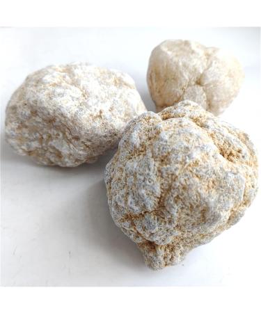 Natural Crystal Rough 1pcs Agate Irregular Geode Agate Crystals Complete Hollow Stone Specimen White Crystal Cavity Fun Cutting Stone Crafts (Color : 2-4cm) - Buy Online on SooperMarket.com