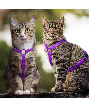 Adjustable Cat Harness for Small, Medium, Large Kittens - Purple - No Pull Pet Harness - Buy Online on SooperMarket.com