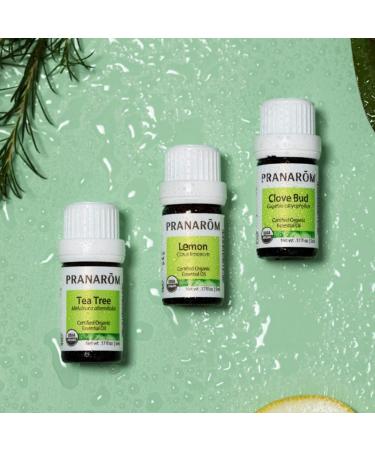 Buy Pranarom Clove Bud Essential Oil 5ml - Natural Aroma & Wellness - Buy Online on SooperMarket.com