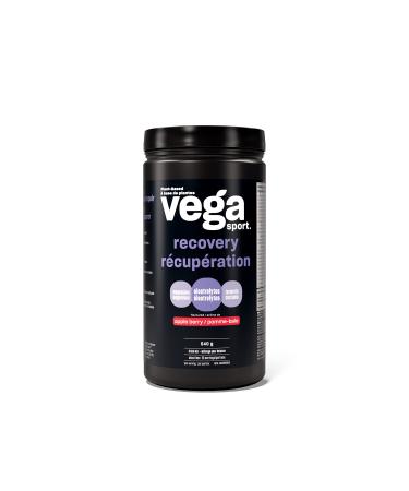 Vega Sport Post-Workout Recovery Accelerator Apple Berry (20 Servings) Vegan Non Dairy Gluten Free BCAAs 540g (Packaging May Vary) Apple Berry 20 Servings (Pack of 1)