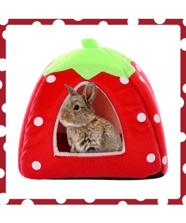 Kuoser Small Animal Winter House | Non-Slip Strawberry Hedgehog Bed | Removable Pad | Guinea Pig, Hamster, Chinchilla, Ferret, Rabbit House - Buy Online on SooperMarket.com