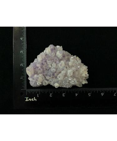 SQGCPGOQ Mexican Phantom Amethyst 11oz 170207 - Buy Online on SooperMarket.com