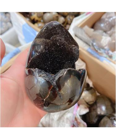 Crystal 1pcs 900-1.1kg Natural Curvature of The Furnishing Articles Turtle Grain s Ball Septarian Nodule Crystal Quartz - Buy Online on SooperMarket.com