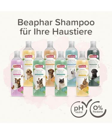 Beaphar Cat Shampoo with Macadamia Oil & Aloe Vera - pH-Neutral Paraben-Free Vegan 1 Pack - International Shipping Available - Buy Online on SooperMarket.com