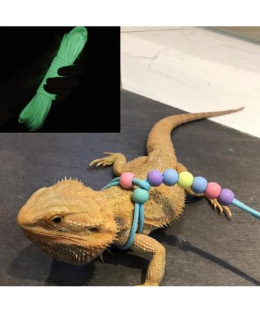 SHMLY 2-Piece Adjustable Leash & Harness for Lizards Hamsters Guinea Pigs & Small Pets - Blue & Pink - Buy Online on SooperMarket.com