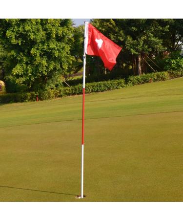 Boshen Golf Flagstick Practice Set for Backyard Putting Green - 1 Set/2 Set Hole Cup Flags - Buy Online on SooperMarket.com