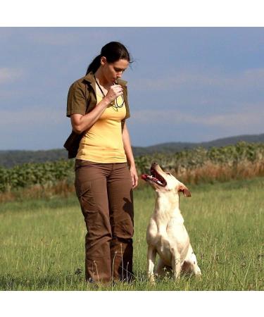 Whistle High Frequency Recall Dog Training Cat dressage education Whistle Nice - Buy Online on SooperMarket.com