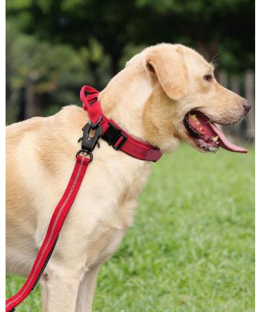Joytale Tactical Dog Collar for Large Dogs | Handle & QR Code Dog Tag | Red XL - Durable Adjustable & Stylish - Buy Online on SooperMarket.com