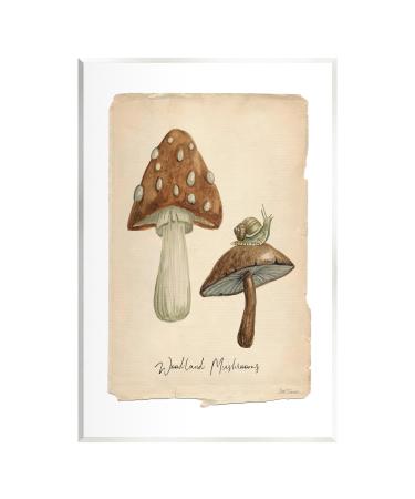 Stupell Industries Woodland Mushrooms & Snail Wall Plaque Art by Carol Robinson 10 x 15