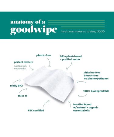 Goodwipes Really Big Body Wipes - Fresh Scent with Tea Tree Oil & Peppermint - 60 Count (6 Packs) - Buy Online on SooperMarket.com