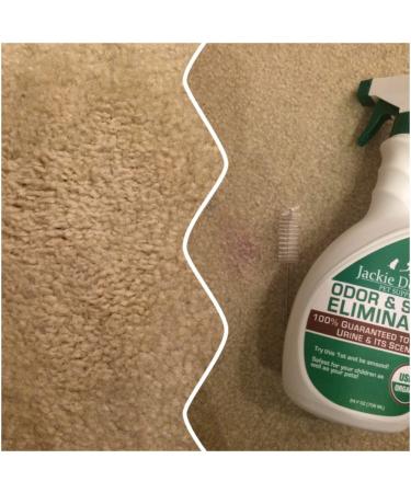 Jackie Doodles Urine Remover 24 OZ Bottle - Safely Eliminates Cat, Dog, and Human Odors - Ready to Use with Concentrate - Buy Online on SooperMarket.com