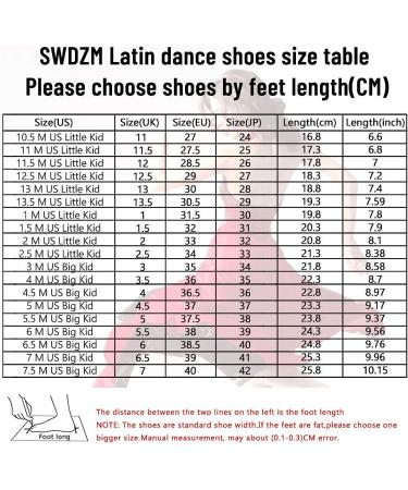 SWDZM Girls Latin Dance Shoes - Satin Suede Sole, Ballroom Salsa Tango Professional Dance Shoes - Beige-202, Size 13.5 Little Kid - Buy Online on SooperMarket.com