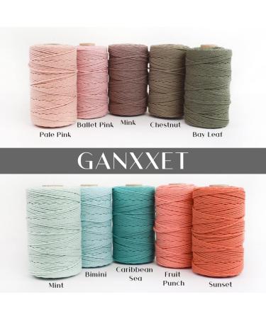 GANXXET Bay Leaf Color Macrame Cotton Cord 2mm 3 ply Recycled | 480 Feet / 160 Yards | DIY Macrame and Crafts Cord for Wall Hangings, Plant Hangers, Coasters - Buy Online on SooperMarket.com