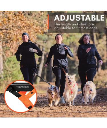Non-stop Dogwear Freemotion Harness 5.0 | Versatile Dog Harness for All Sports | Size 8 Black/Orange - Shop Internationally - Buy Online on SooperMarket.com