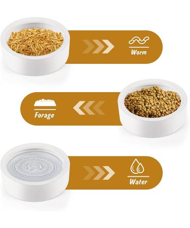 Small Ceramic Reptile Food Dish Bowl & Water Dish Set - 2 Pack | Ideal for Lizards, Geckos, Bearded Dragons, Chameleons, Hermit Crabs | Anti-Escape Design for Mealworms, Crickets, Superworms | 2.75in White - Buy Online on SooperMarket.com