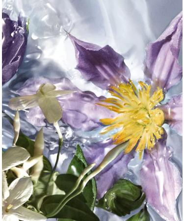 Guerlain Aqua Allegoria Flora Salvaggia Eau De Toilette Spray for Women 4.2 Ounce Floral 4.2 Fl Oz (Pack of 1) - Buy Online on SooperMarket.com