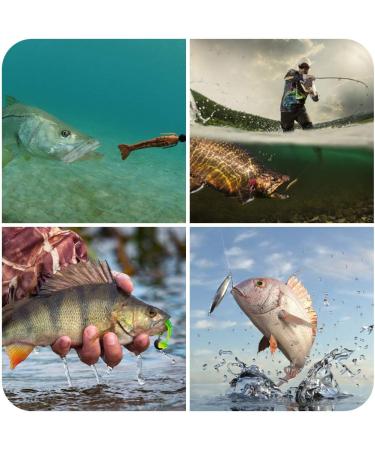 GOANDO 78 Pcs Fishing Lures Kit for Bass Trout Salmon - Bait Tackle Box with Spoon Lures, Soft Plastic Worms, Crankbait Jigs, Fishing Hooks - Freshwater Fishing Accessories - Buy Online on SooperMarket.com