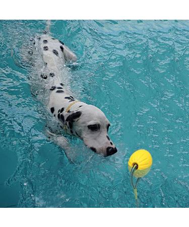 Buy Durable Dog Toys: Flee Durafoam Ball & Rope - Perfect for Large & Small Dogs - International Shipping Available - Buy Online on SooperMarket.com