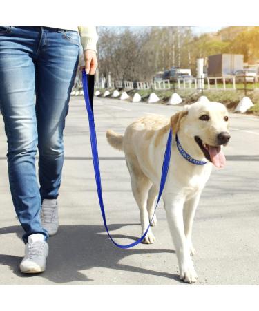 Tagme Personalized Reflective Dog Collar for Medium Dogs - Embroidered with Name & Phone Number Royal Blue 1 Pack - Buy Online on SooperMarket.com