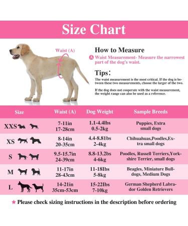 Buy Dono Disposable Dog Diapers for Females - 48 Super Absorbent Leak-Proof Pants for Heat & Incontinence - Sizes XXS to L - Buy Online on SooperMarket.com