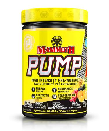 MAMMOTH PUMP Pre Workout Powder Superior Muscle Pumps Increase Strength & Endurance Explosive Power & Energy Supplement Heightened Focus Quick Recovery Reduced Soreness (60 Serves Fruit Punch) Fruit Punch 60 Servings (Pack of 1)