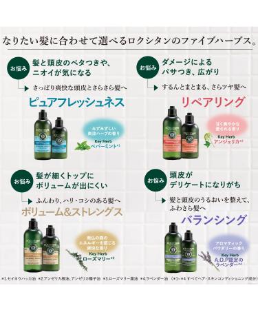 L'Occitane Intensive Repair Conditioner for Damaged Hair Refill 16.9 fl. oz. - Pack of 1 - Buy Online on SooperMarket.com